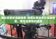 体彩世界杯竞猜倍率-体育彩票世界杯竞猜倍率，理性与激情的碰撞