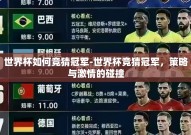 世界杯如何竞猜冠军-世界杯竞猜冠军，策略与激情的碰撞