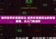 如何世界杯竞猜投注-世界杯竞猜投注的智慧策略，从入门到进阶