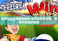 世界杯冠军竞猜竞猜网-世界杯冠军竞猜，激情与智慧的碰撞