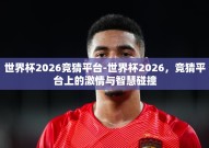 世界杯2026竞猜平台-世界杯2026，竞猜平台上的激情与智慧碰撞