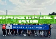 足彩世界杯竞猜冠军-足彩世界杯竞猜冠军，激情与智慧的碰撞