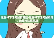 世界杯下注网站有哪些-世界杯下注网站概览，选择与注意事项