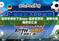 篮球世界杯下注app-篮球世界杯，激情与策略的交汇点