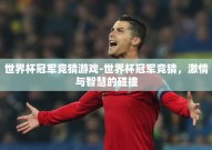 世界杯冠军竞猜游戏-世界杯冠军竞猜，激情与智慧的碰撞