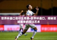 世界杯盘口是什么意思-世界杯盘口，揭秘足球赛事的投注艺术