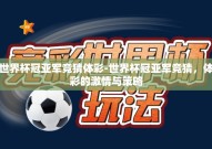 世界杯冠亚军竞猜体彩-世界杯冠亚军竞猜，体彩的激情与策略