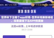 世界杯下注哪个app好用-世界杯观赛新体验，探索最佳下注APP的奥秘