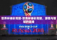 世界杯体彩竞猜-世界杯体彩竞猜，激情与智慧的碰撞