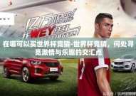 在哪可以买世界杯竞猜-世界杯竞猜，何处寻觅激情与乐趣的交汇点