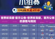 世界杯竞猜 官方公告-世界杯竞猜，官方公告的激情与规则