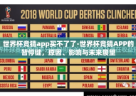 世界杯竞猜app买不了了-世界杯竞猜APP的暂停键，原因、影响与未来展望