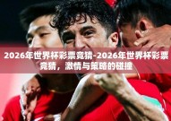 2026年世界杯彩票竞猜-2026年世界杯彩票竞猜，激情与策略的碰撞