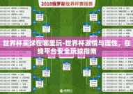 世界杯买球在哪里玩-世界杯激情与理性，在线平台安全玩球指南