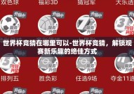 世界杯竞猜在哪里可以-世界杯竞猜，解锁观赛新乐趣的绝佳方式