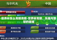 世界杯怎么竞猜竞猜-世界杯竞猜，乐趣与智慧的碰撞