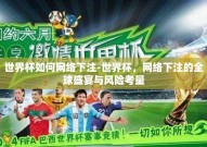 世界杯如何网络下注-世界杯，网络下注的全球盛宴与风险考量