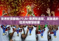 世界杯竞猜倘c77,tv-世界杯竞猜，足球迷的狂欢与智慧较量