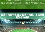 世界杯竞猜手机投注-世界杯竞猜，手机投注的激情与挑战