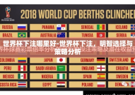 世界杯下注哪里好-世界杯下注，明智选择与策略分析