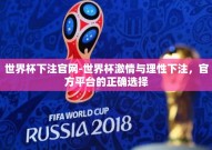 世界杯下注官网-世界杯激情与理性下注，官方平台的正确选择