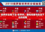 世界杯去哪下注-世界杯，理性观赛与合法下注的指南