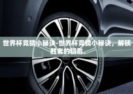 世界杯竞猜小秘诀-世界杯竞猜小秘诀，解锁胜者的钥匙