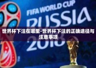世界杯下注在哪里-世界杯下注的正确途径与注意事项