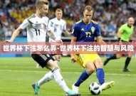 世界杯下注怎么弄-世界杯下注的智慧与风险