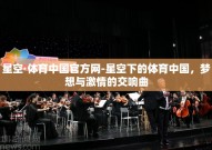 星空·体育中国官方网-星空下的体育中国，梦想与激情的交响曲