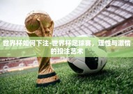 世界杯如何下注-世界杯足球赛，理性与激情的投注艺术