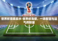 世界杯竞猜反水-世界杯竞猜，一场智慧与运气的较量