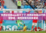 世界杯竞猜app买不了了-世界杯竞猜APP的暂停键，理性审视与未来展望