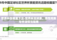 世界杯在哪里下注-世界杯足球赛，理性观赛与合法投注指南