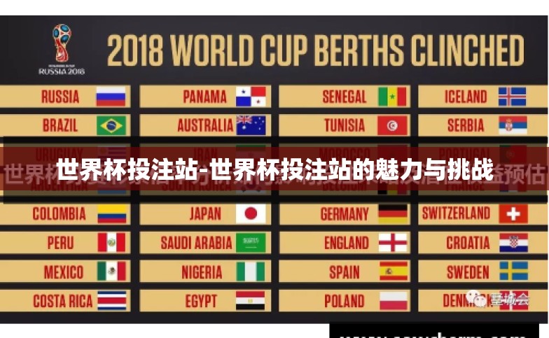 世界杯投注站-世界杯投注站的魅力与挑战 世界杯投注站-世界杯投注站的魅力与挑战