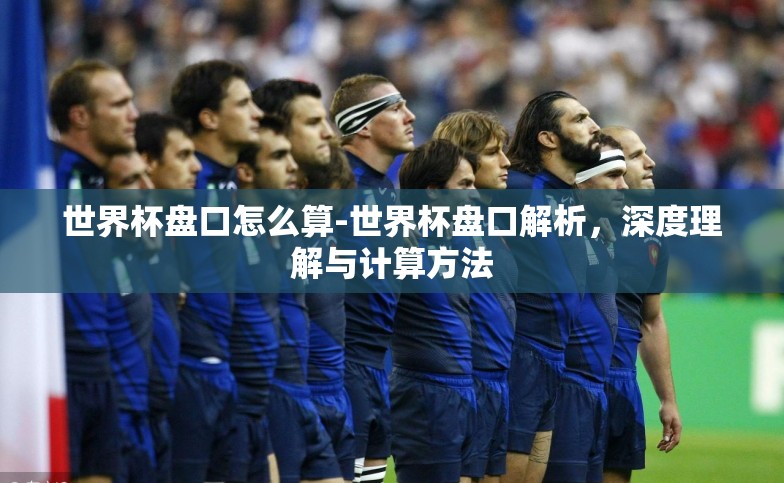 世界杯盘口怎么算-世界杯盘口解析，深度理解与计算方法
