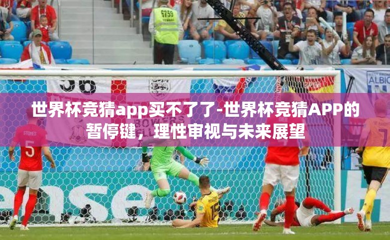 世界杯竞猜app买不了了-世界杯竞猜APP的暂停键，理性审视与未来展望