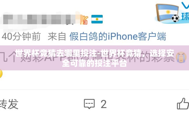 世界杯竞猜去哪里投注-世界杯竞猜,选择安全可靠的投注平台 世界杯竞猜去哪里投注-世界杯竞猜,选择安全可靠的投注平台