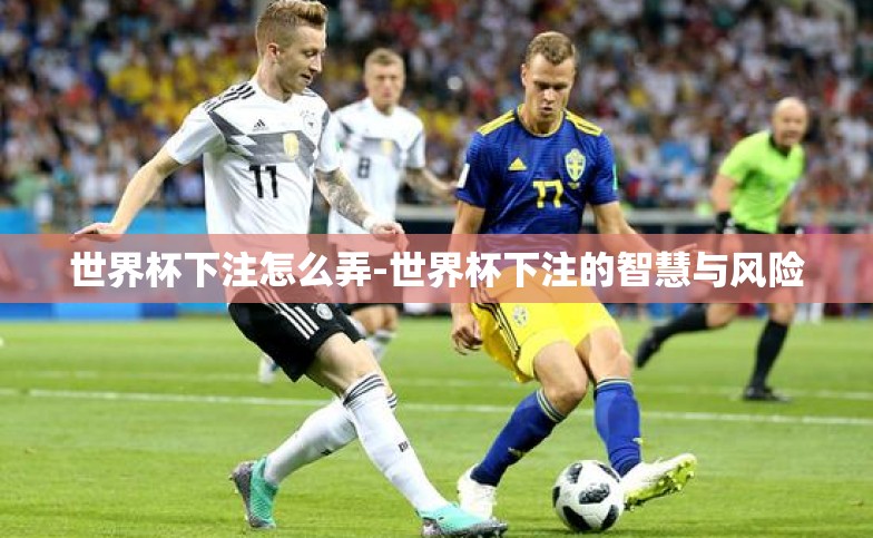 世界杯下注怎么弄-世界杯下注的智慧与风险 世界杯下注怎么弄-世界杯下注的智慧与风险