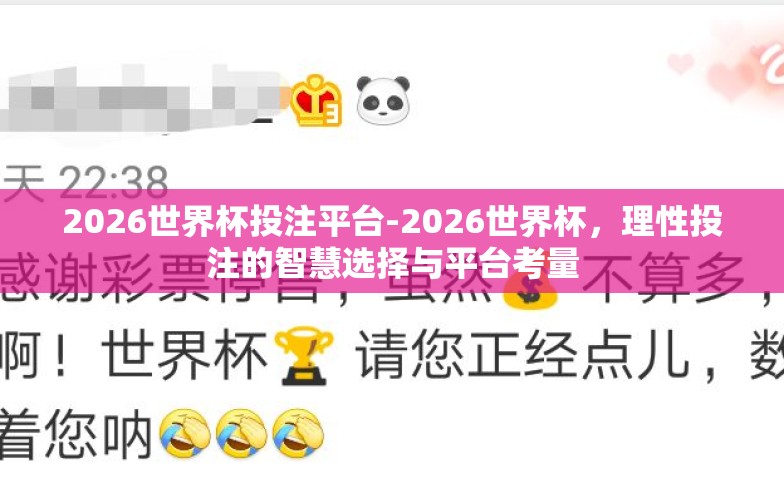2026世界杯投注平台-2026世界杯，理性投注的智慧选择与平台考量
