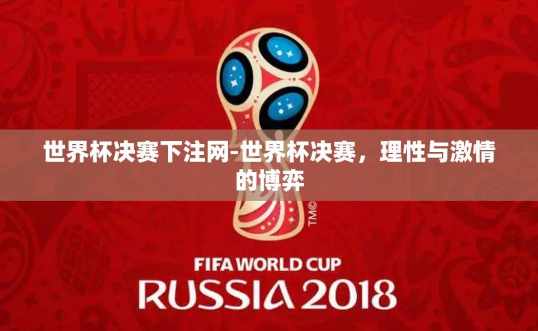 世界杯决赛下注网-世界杯决赛，理性与激情的博弈