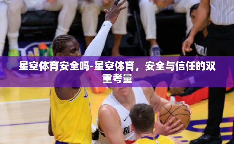星空体育安全吗-星空体育，安全与信任的双重考量