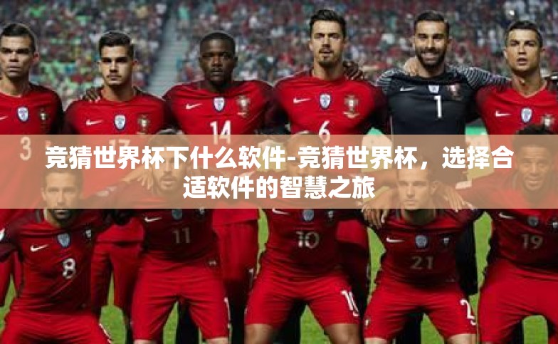 竞猜世界杯下什么软件-竞猜世界杯,选择合适软件的智慧之旅 竞猜世界杯下什么软件-竞猜世界杯,选择合适软件的智慧之旅