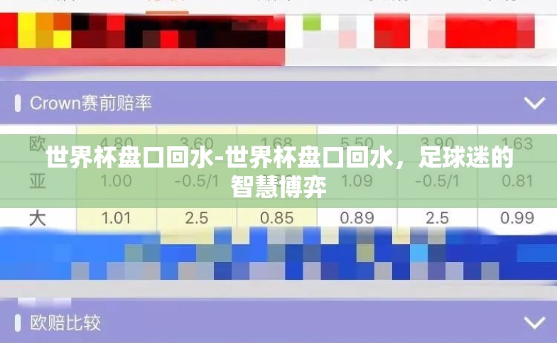 世界杯盘口回水-世界杯盘口回水,足球迷的智慧博弈 世界杯盘口回水-世界杯盘口回水,足球迷的智慧博弈