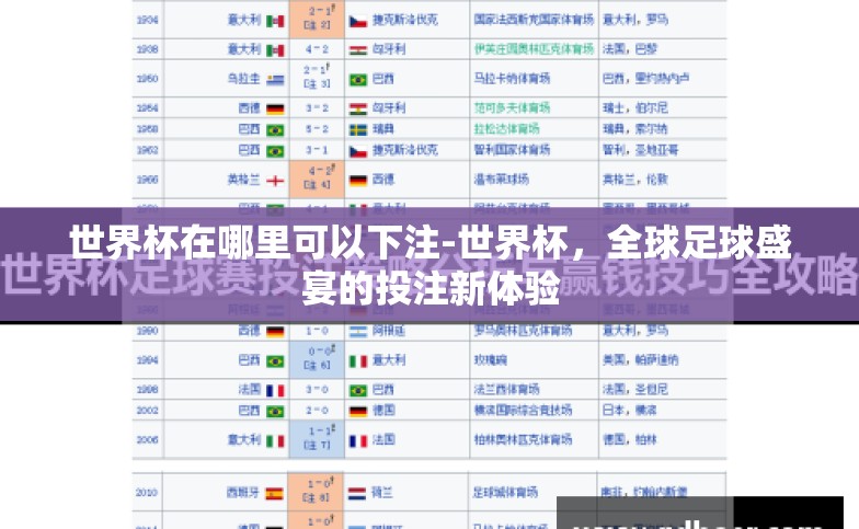 世界杯在哪里可以下注-世界杯，全球足球盛宴的投注新体验