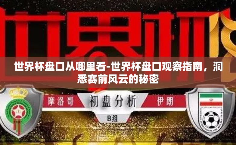 世界杯盘口从哪里看-世界杯盘口观察指南，洞悉赛前风云的秘密