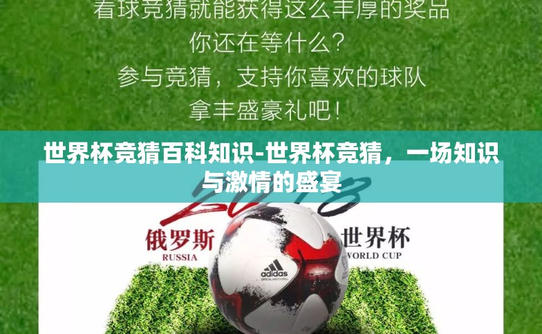 世界杯竞猜百科知识-世界杯竞猜，一场知识与激情的盛宴