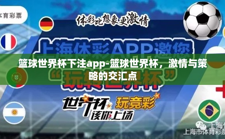 篮球世界杯下注app-篮球世界杯，激情与策略的交汇点