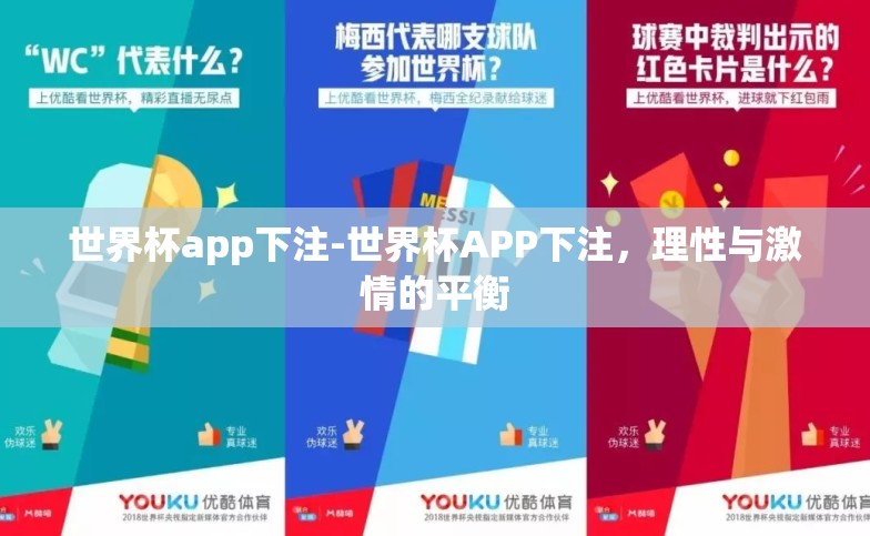 世界杯app下注-世界杯APP下注，理性与激情的平衡