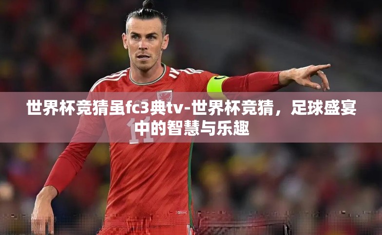 世界杯竞猜虽fc3典tv-世界杯竞猜，足球盛宴中的智慧与乐趣